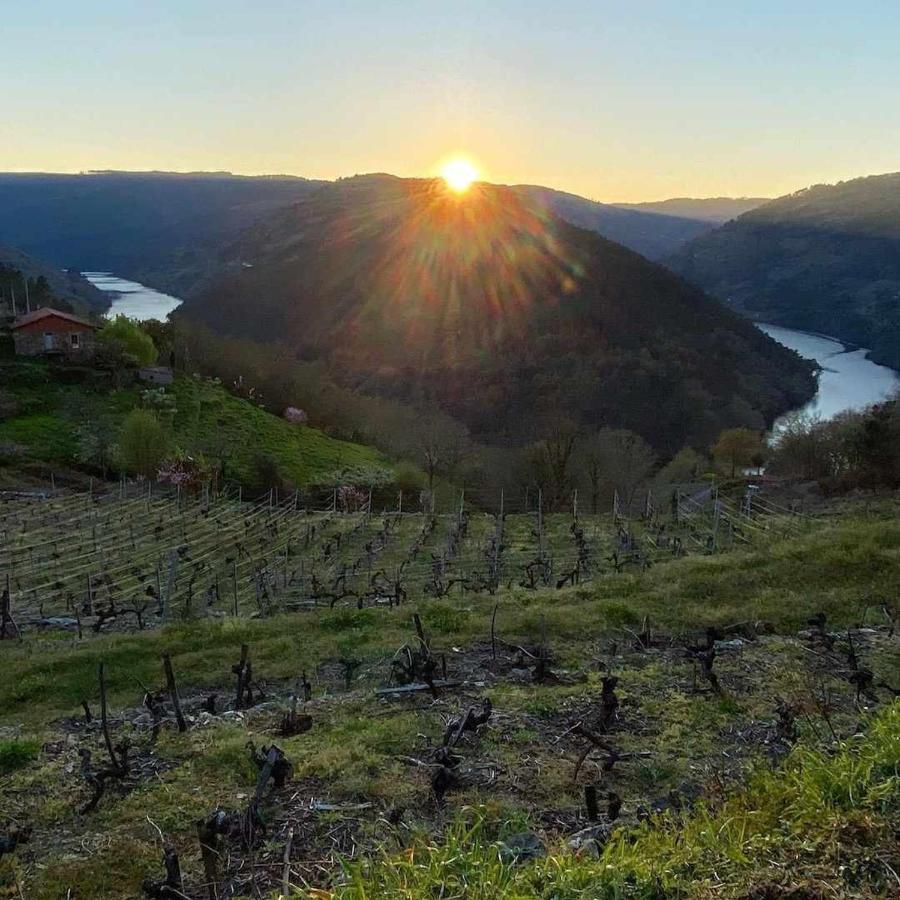 Casa Das Xacias Ribeira Sacra A Airoa  Εξωτερικό φωτογραφία